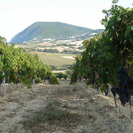 팜스테이 Agriturismo Il Mandorlo