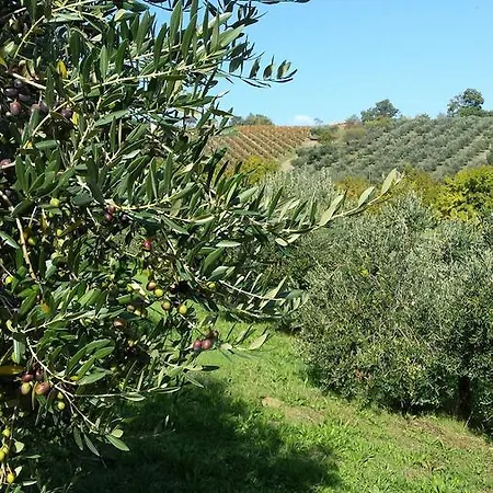 Gospodarstwo agroturystyczne Agriturismo Il Mandorlo