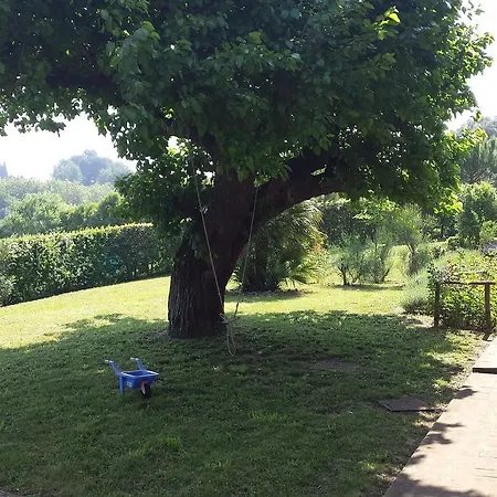 Alojamento de Turismo Rural Agriturismo Il Mandorlo